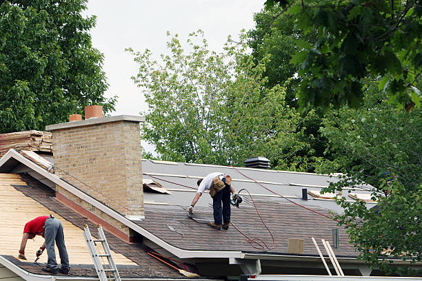 Best Gutter Installation and Roofing  in Elmwood Place, OH