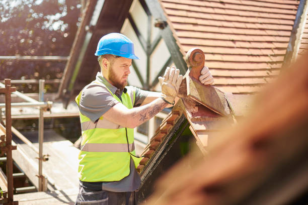 Best Roof Repair Services  in Elmwood Place, OH